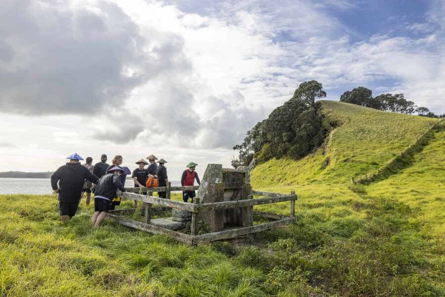 Auckland: Browns Island (Motukorea) Sea Kayak Tour - Tides, weather, and what to pack
