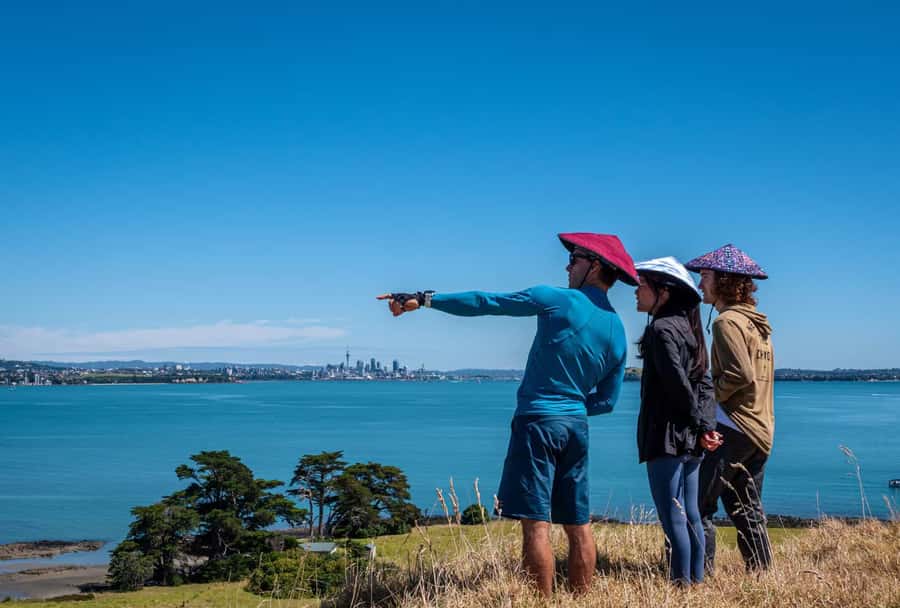 Auckland: Browns Island (Motukorea) Sea Kayak Tour - Who will enjoy this Browns Island tour?