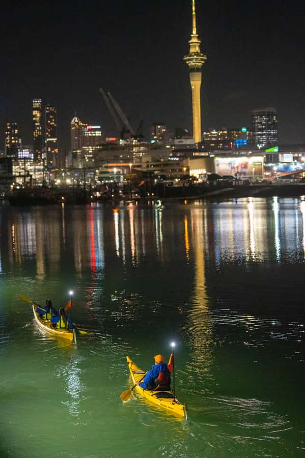 Auckland: City Lights Night Kayak Tour - Key points to know before you paddle