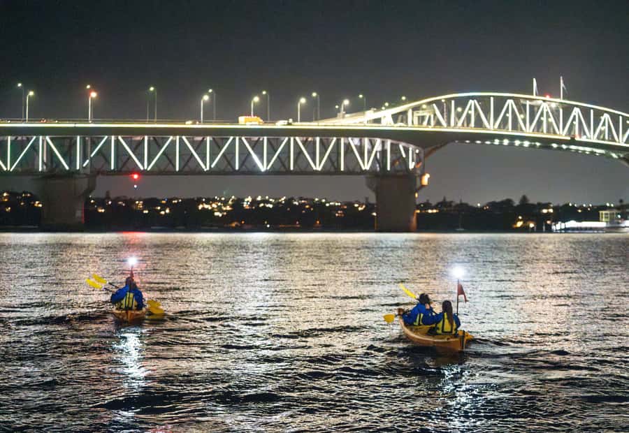 Auckland: City Lights Night Kayak Tour - Alongside Westhaven Marina as the city lights come on
