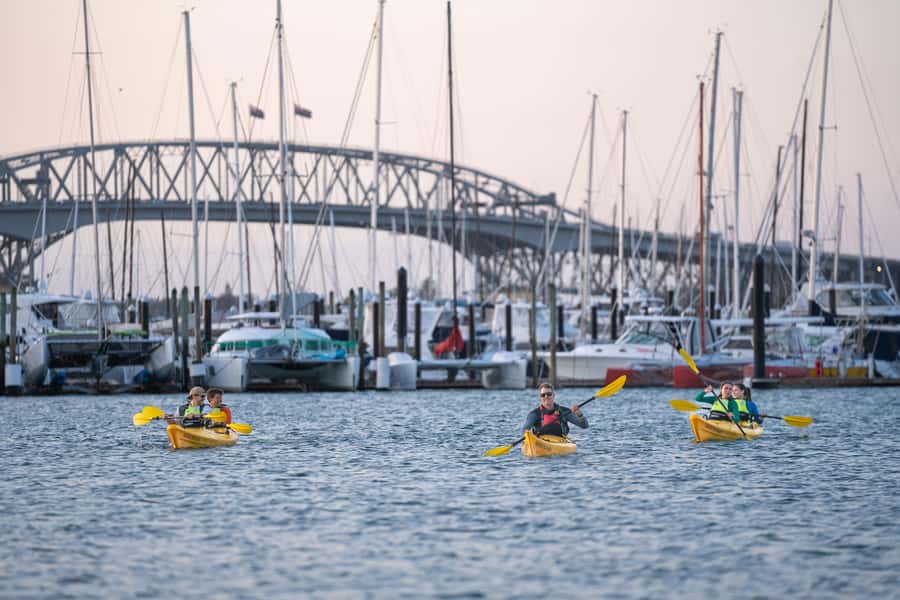 Auckland: City Lights Night Kayak Tour - Who will enjoy this tour most