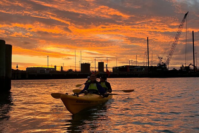 Auckland City Lights Night Kayaking Tour - Guides, safety, and the small-group advantage