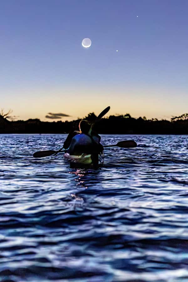 Auckland: Night Kayak Tour in Glowing Bioluminescent Waters - Why Auckland’s Sea Sparkle is worth seeing