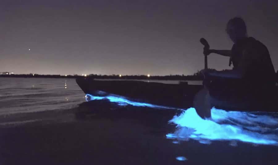 Auckland: Night Kayak Tour in Glowing Bioluminescent Waters - The first paddle as daylight fades