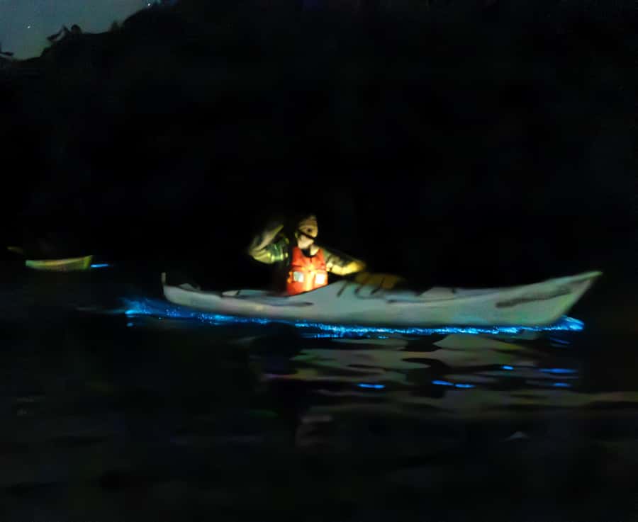 Auckland: Night Kayak Tour in Glowing Bioluminescent Waters - A short break and a quiet return