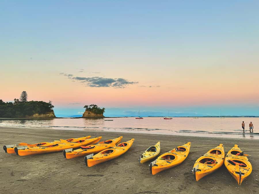 Auckland: Night Kayak Tour in Glowing Bioluminescent Waters - Is the $56 price good value?