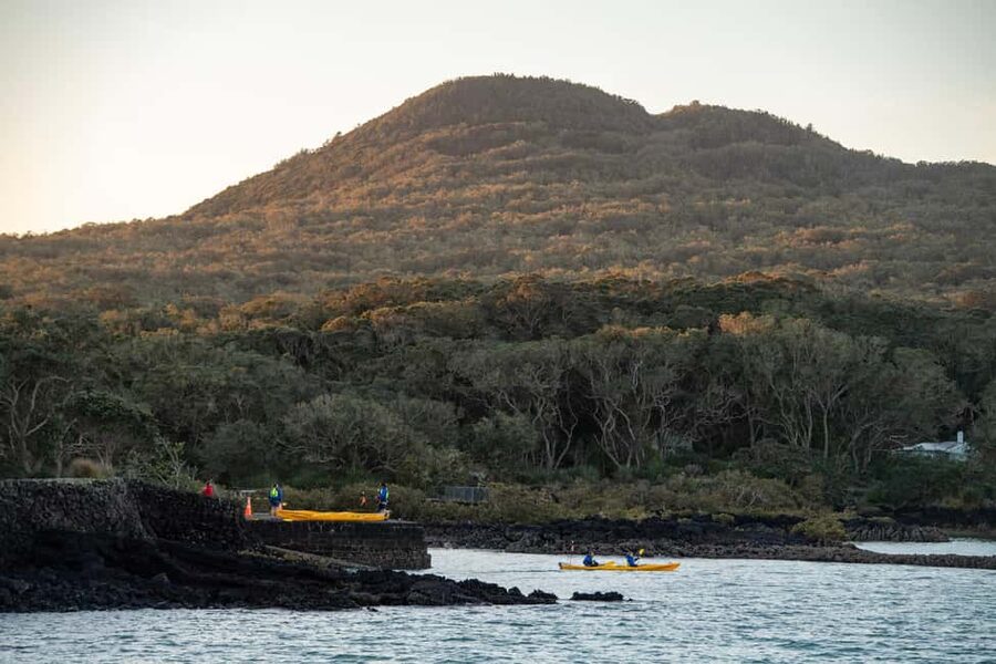 Auckland: Sunset & Night Sea Kayak Tour to Rangitoto Island - Who should book this seven-hour outing?