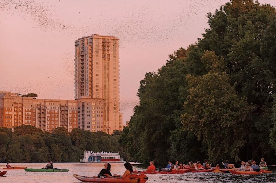 Austin: Sunset Bat Watching Kayak Tour - Key points at a glance