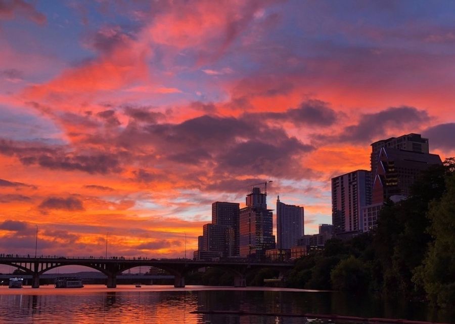Austin: Sunset Bat Watching Kayak Tour - Why the bats are the star of this Austin kayak tour