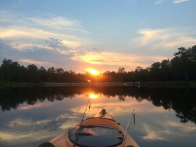 Sunset Bat Watching Kayak Tour