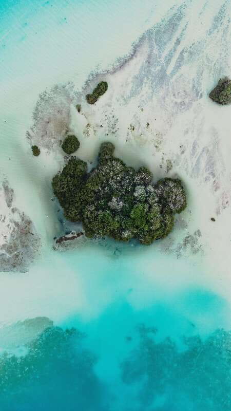 Bacalar & Cenotes: 3 hours kayak rental with snorkeling gear - Starting at the SEMARNAT entrance