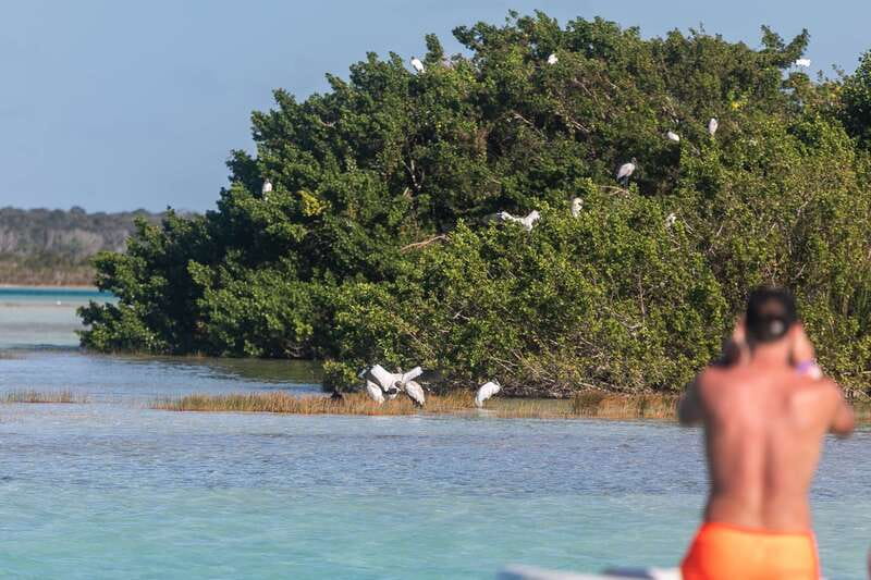 Bacalar: Full Day Kayak Rental in the Lagoon of Seven Colors - A full day on Bacalars Lagoon of Seven Colors