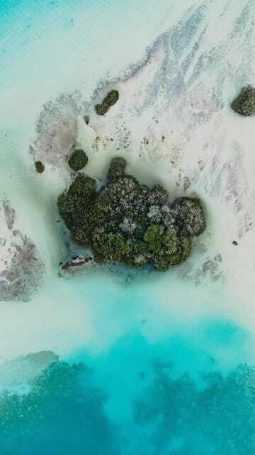 Bacalar Lagoon Full-Day Kayak & Snorkel Rental - What the $29 Price Really Covers