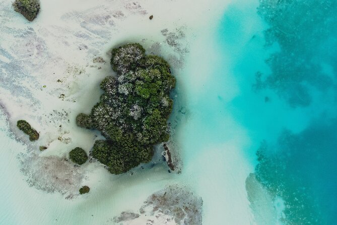 Bacalar Sunrise Stand Up Paddleboard Tour with Breakfast & Photos - Breakfast with coffee, fruit, and toast