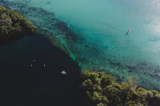 Bacalar Sunrise Stand Up Paddleboard Tour with Breakfast & Photos - Your first hour: easy paddling into the sunrise