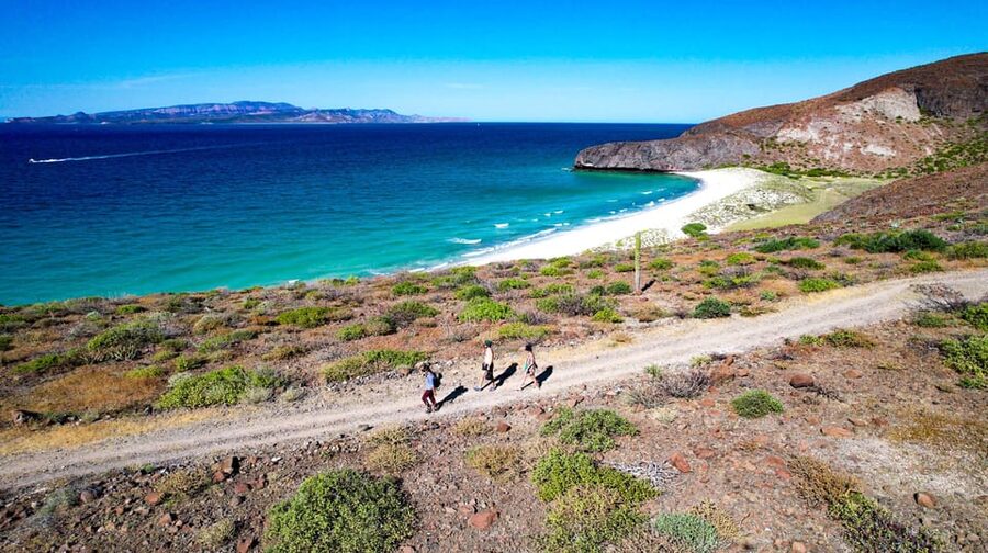 Balandra Adventure: Hike, Kayak, and Snorkel - Ceviche and cold drinks at Tecolote