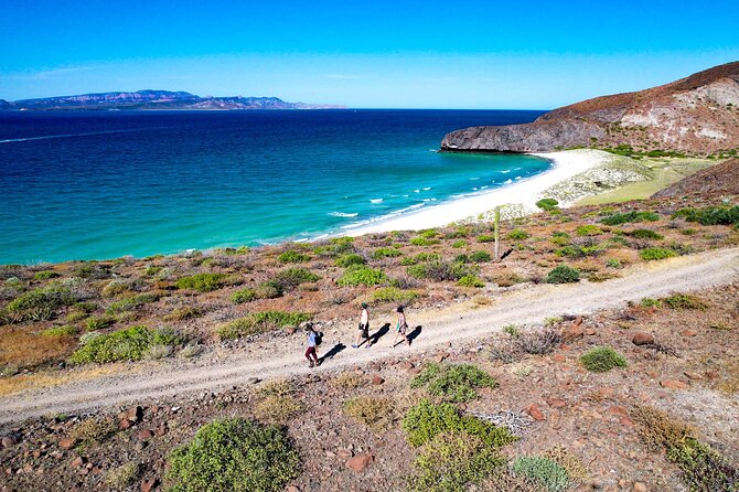 Balandra & Tecolote: hike, kayak and snorkel in paradise - Balandra’s famous rock and the best viewpoints