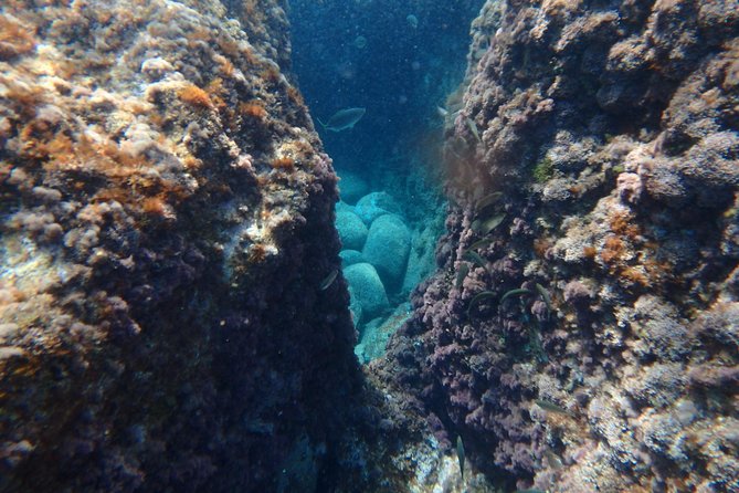 Barcelona Costa Brava Kayak, Snorkel & Cliff Jump Day Tour - What the $102.79 price really covers
