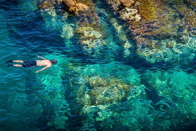 Barcelona Costa Brava Kayak, Snorkel & Cliff Jump Day Tour - Sea caves, coves, and snorkeling stops