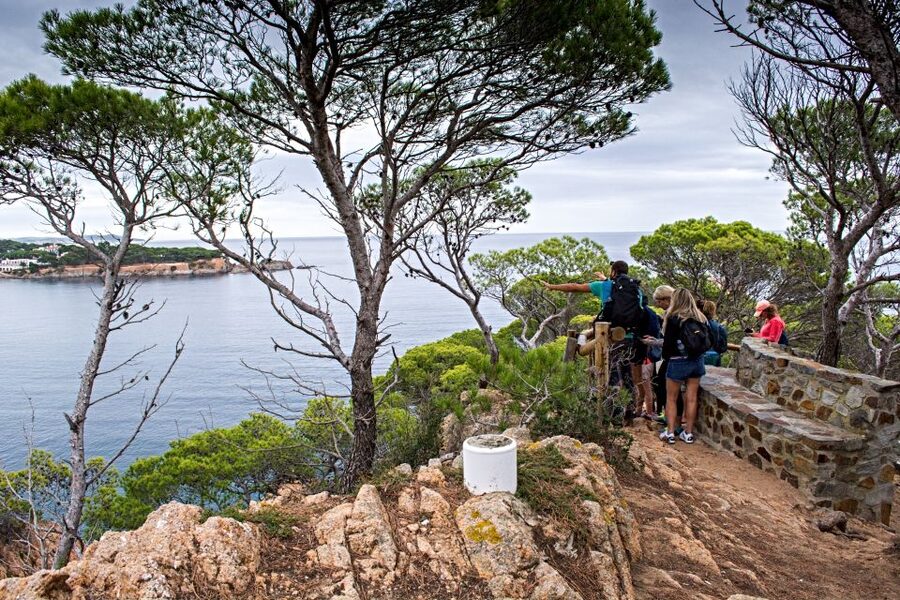Barcelona: Costa Brava Tour with Kayak & Lagoon Snorkeling - The El Camino de Ronda walk near Sant Feliu de Guíxols