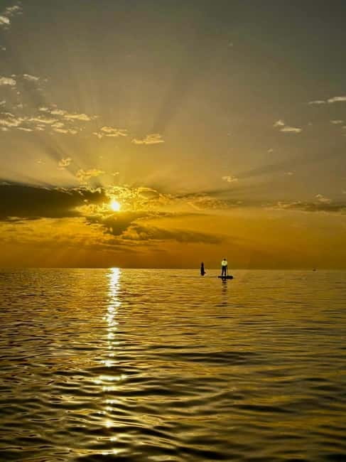 Barcelona: Paddleboarding at Sunrise. Includes: instructor, photos, equipment - Key details before you book