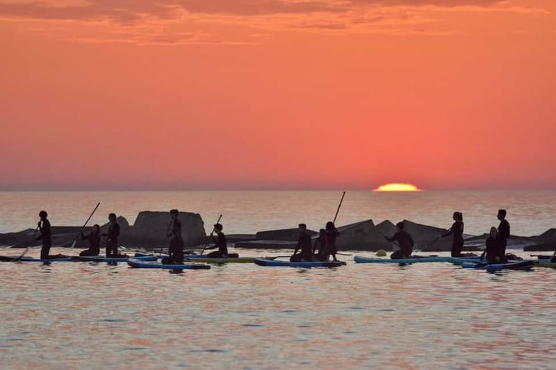 Barcelona: Paddleboarding at Sunrise. Includes: instructor, photos, equipment - Learning to paddle before sunrise