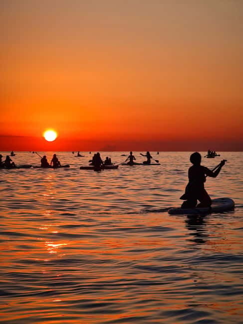 Barcelona: Paddleboarding at Sunrise. Includes: instructor, photos, equipment - Sunrise on the Mediterranean