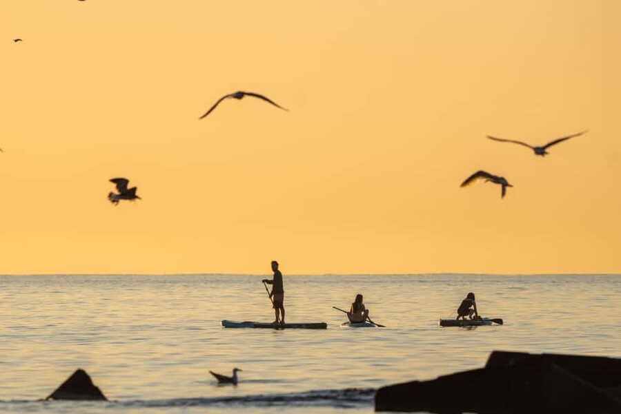 Barcelona: Paddlesurf Rental Barceloneta beach (75min) - Key points to know before you book