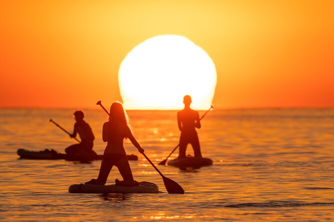 Barcelona: Sunrise Paddle Surf with Instructor and Photos - Who will enjoy this Barcelona activity?