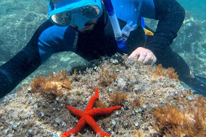 Barcelona Wild Experience: Kayak and Snorkel in Costa Brava - Paddling along the rocky Costa Brava