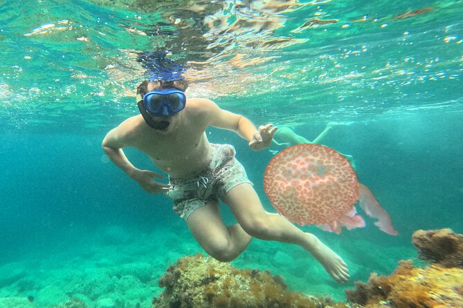 Barcelona Wild Experience: Kayak and Snorkel in Costa Brava - Free time before heading back