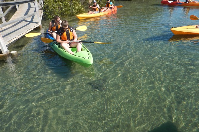 Batemans Bay Glass-Bottom Kayak Tour Over 2 Relaxing Hours - Key points to know before you book