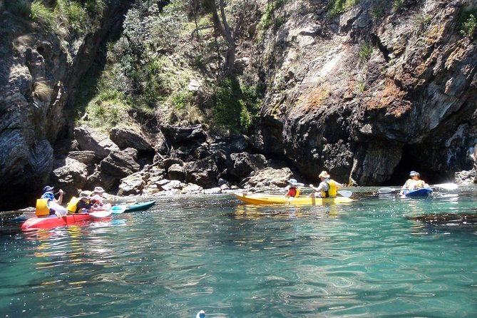 Batemans Bay Glass-Bottom Kayak Tour Over 2 Relaxing Hours - Why the glass bottom matters