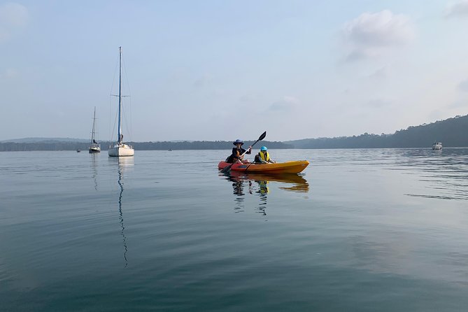 Batemans Bay Glass-Bottom Kayak Tour Over 2 Relaxing Hours - What your two hours look like