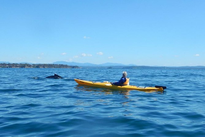 Batemans Bay Glass-Bottom Kayak Tour Over 2 Relaxing Hours - The guides make the difference