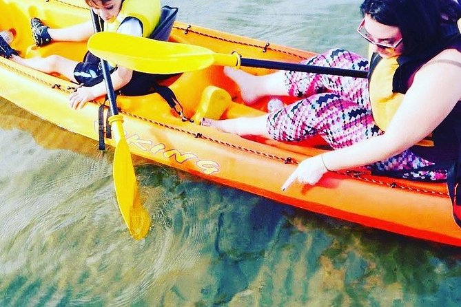 Batemans Bay Glass-Bottom Kayak Tour Over 2 Relaxing Hours - Is $99.70 good value?