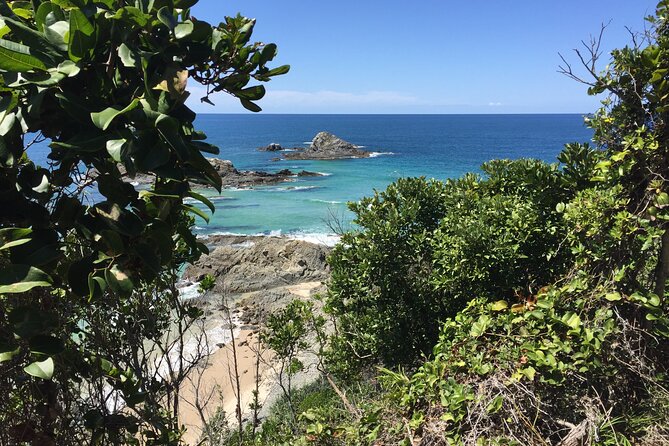 Behind The Bay - Explore Like a Local: Waterfalls/paddleboarding - Killen Falls, rainforest, rocks, and a possible turtle sighting
