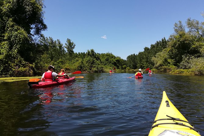 Belgrade Amazon Kayak Adventure - Key points to know before you book