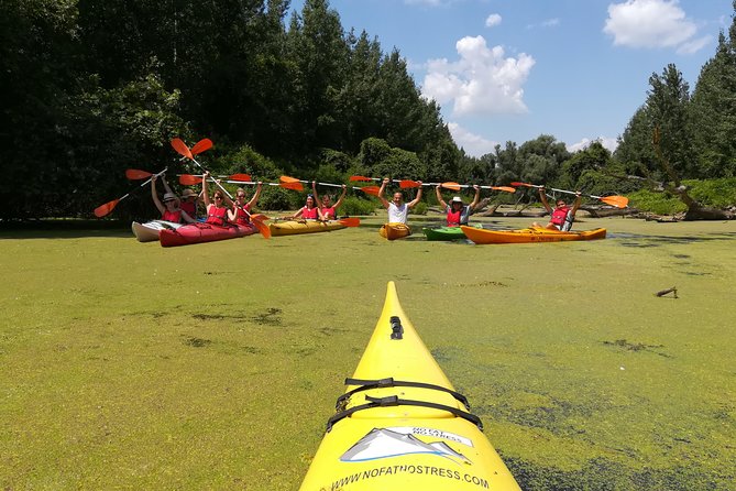 Belgrade Amazon Kayak Adventure - Birdlife, reeds, and the quiet middle section