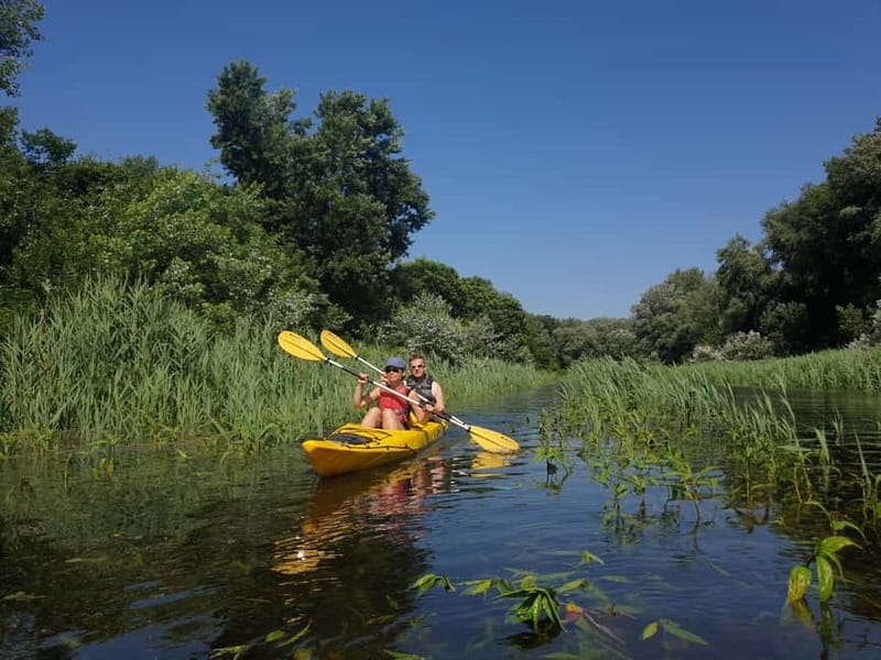Belgrade: Great War Island Kayak Adventure - Key points for your Belgrade day