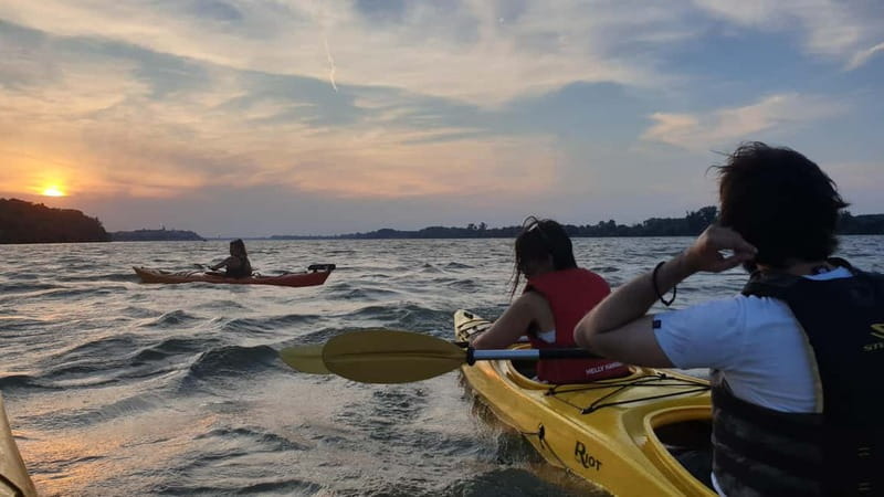 Belgrade: Great War Island Kayak Adventure - Why the guides matter on a beginner-friendly paddle