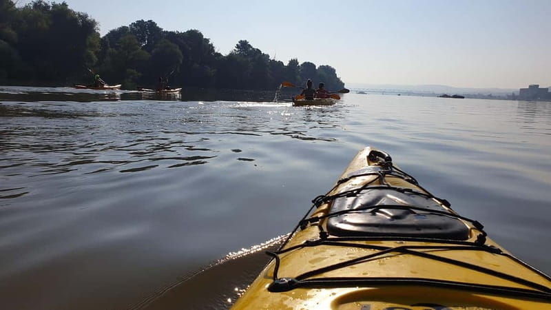Belgrade: Great War Island Kayak Adventure - Who should book this Great War Island outing?