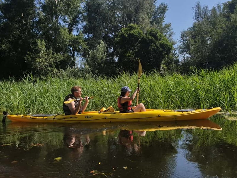 Belgrade: Great War Island Kayak Adventure - The route around Great War Island