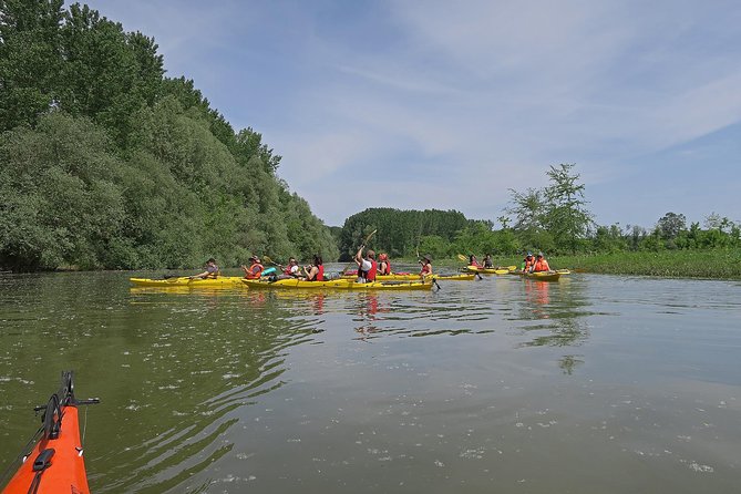 Belgrade War Island Kayak Tour - What the guide adds to the experience
