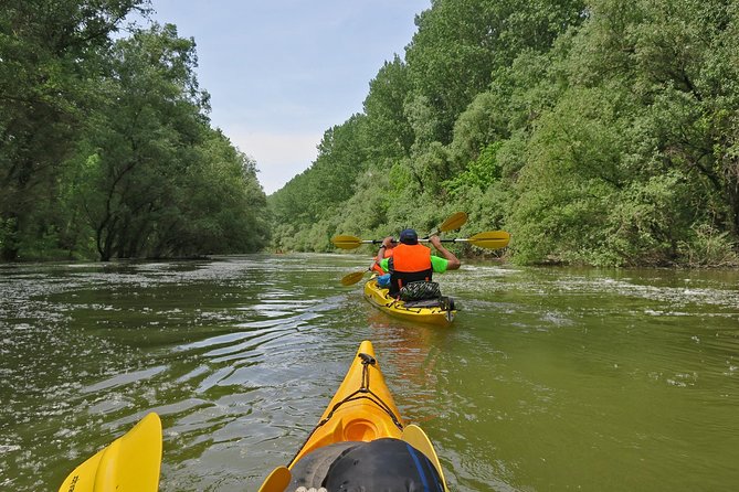 Belgrade War Island Kayak Tour - Is $42.33 a fair price?