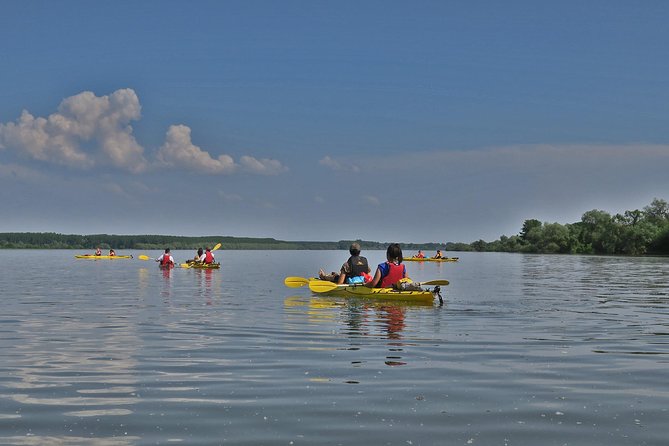 Belgrade War Island Kayak Tour - Timing, clothing, and practical planning