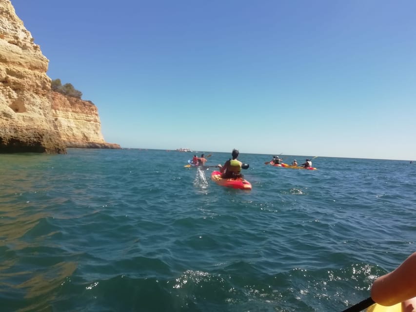 Benagil: Cave and Sea Caves Guided Kayak Tour - Why the $29 price offers good value