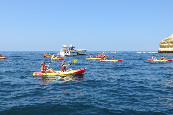 Benagil Kayak Tour On Board a Fantastic Catamaran - Who will enjoy this outing most
