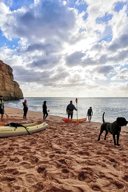Benagil: Kayaking Tour to the Benagil Cave (Free Shower) - Price, timing, and practical value