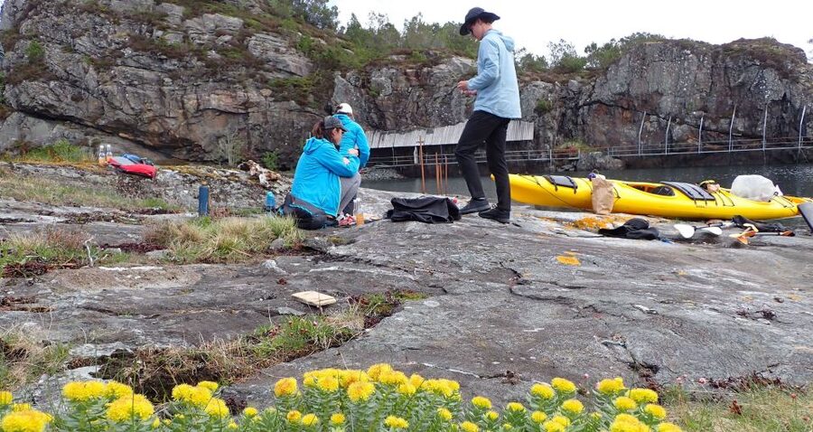 Bergen: Øygarden Islets Guided Kayaking Tour - Key points at a glance